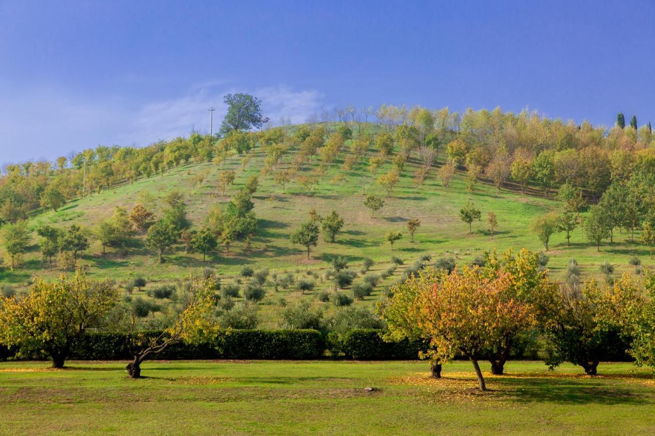 Ca' Malvasia - Bolognarooms Montecchio  Екстериор снимка